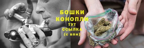 стаф Сясьстрой