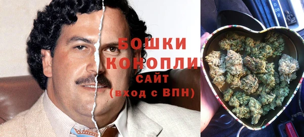 стаф Сясьстрой