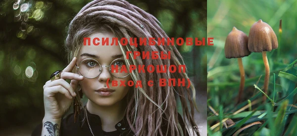 кристаллы Тавда
